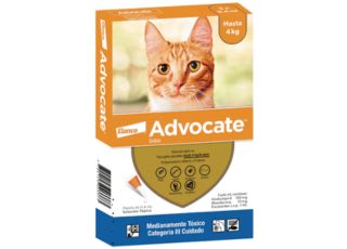 ADVOCATE PARA GATOS