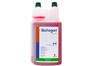 BANOGAN