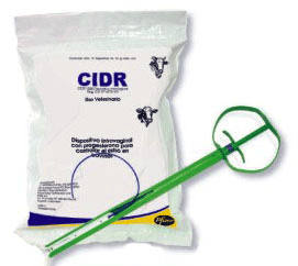 CIDR