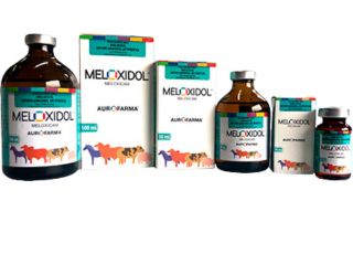 MELOXIDOL